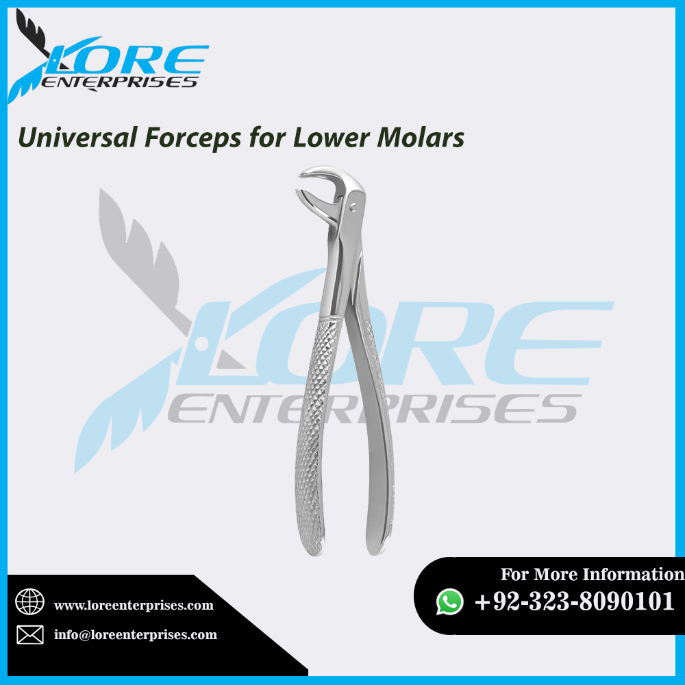 Universal Forceps for lower Molars
