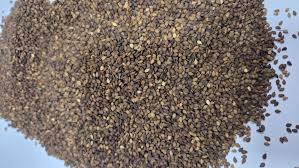 Crushing Quality Sesame Seeds